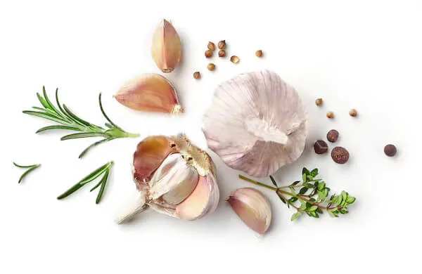 Inicio 43 garlic herbs isolated on white 600w 587395172 1