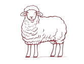 Inicio 14 Anadir un titulo 2 removebg preview