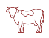 Inicio 13 Categoria ternera halal tienda de carne halal online