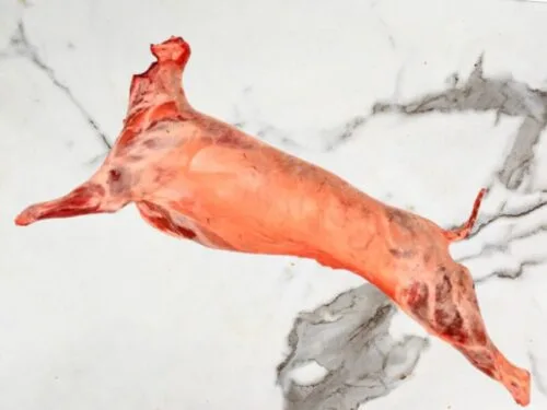 Cordero halal entero - tienda de venta de carne halal online